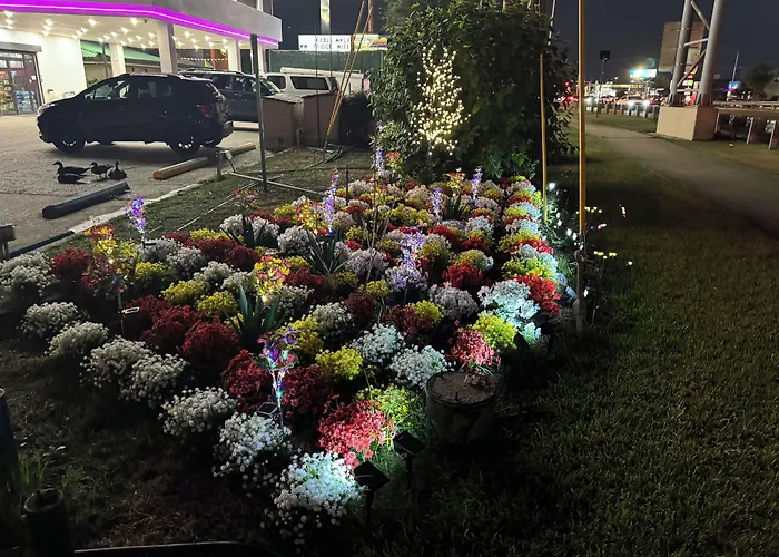 Contempra Inn Kenner